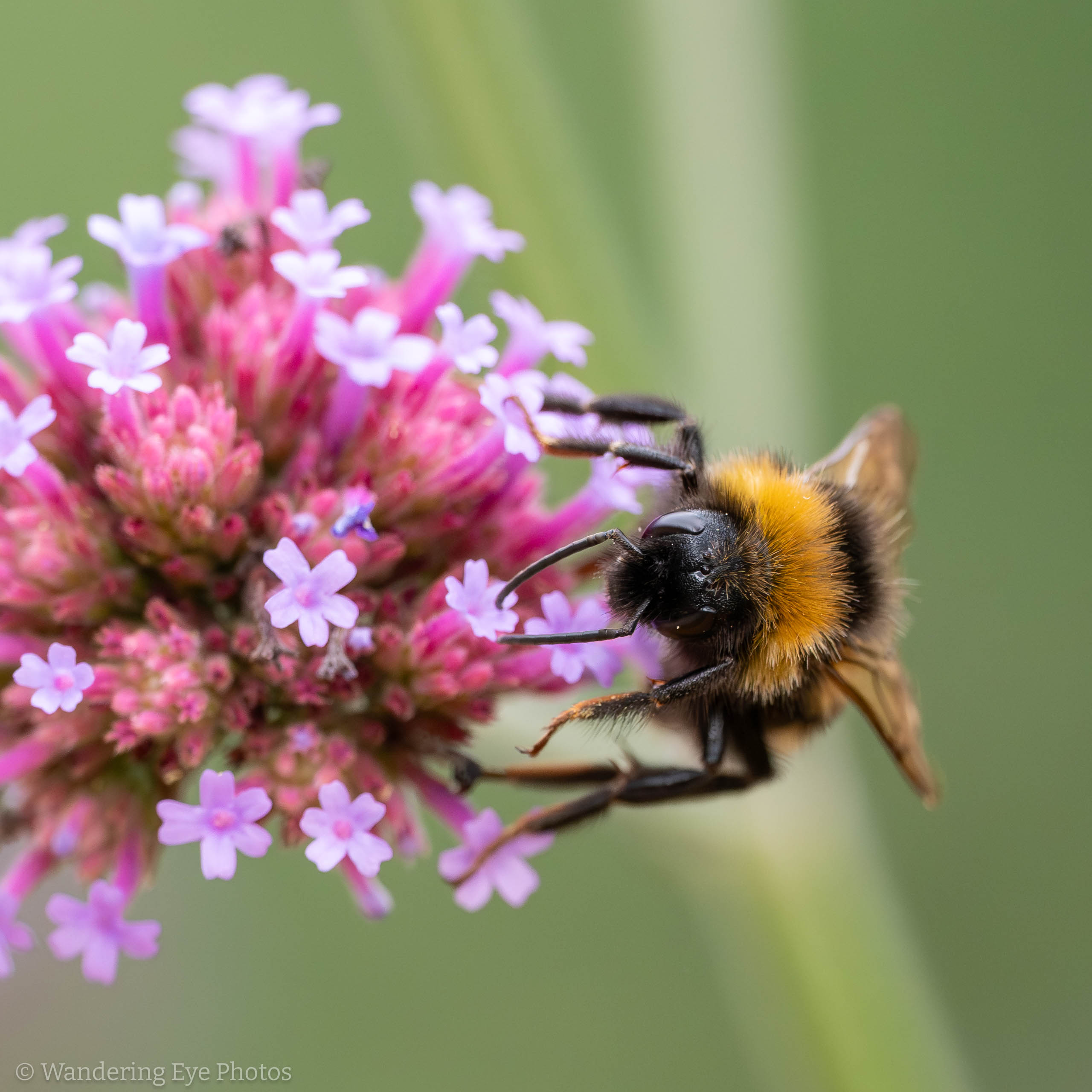 07.03 17.31.35   P7030108